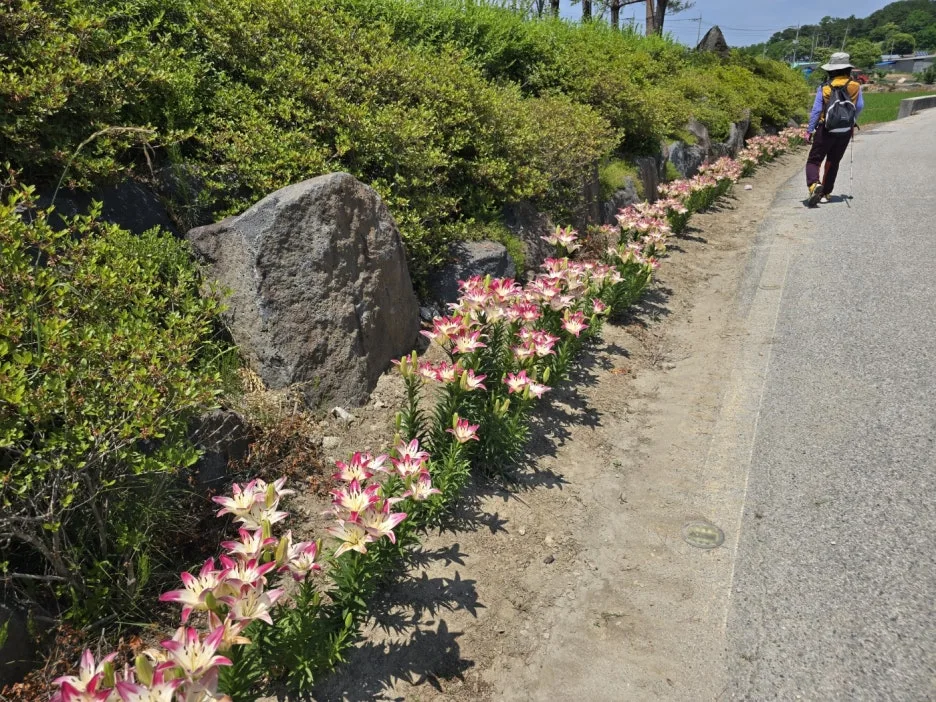 KakaoTalk_20250615_052355191_22.jpg?type=w1