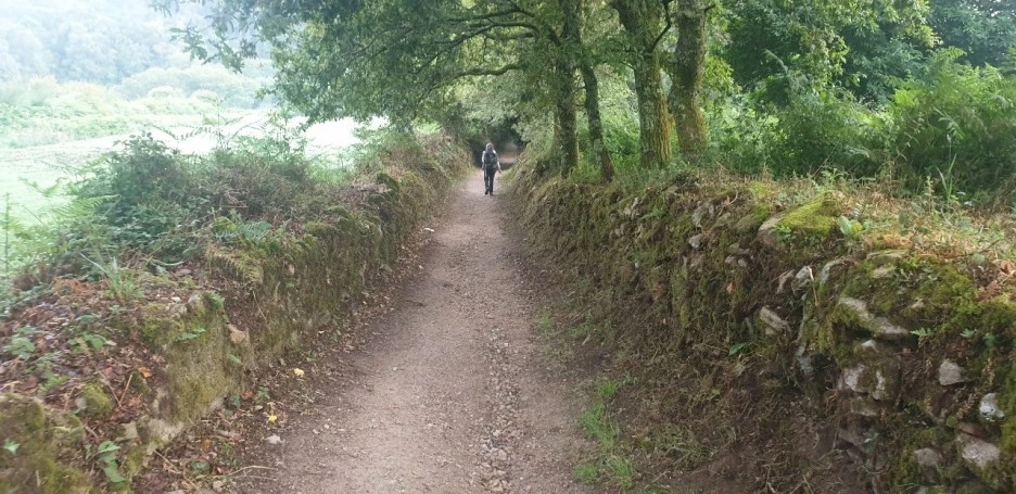 KakaoTalk_20220621_020741198_03.jpg?type=w1