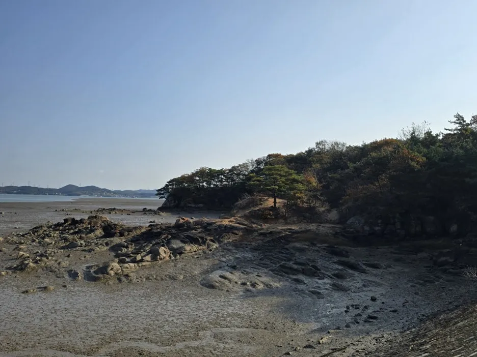 KakaoTalk_20241113_031257885_10.jpg?type=w1