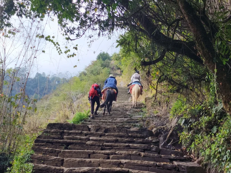 KakaoTalk_20251213_094358569_05.jpg?type=w1