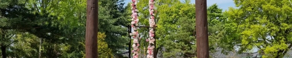 SE-9767252f-8d62-4f8c-956c-3c2cd6ab4212.jpg?type=w1