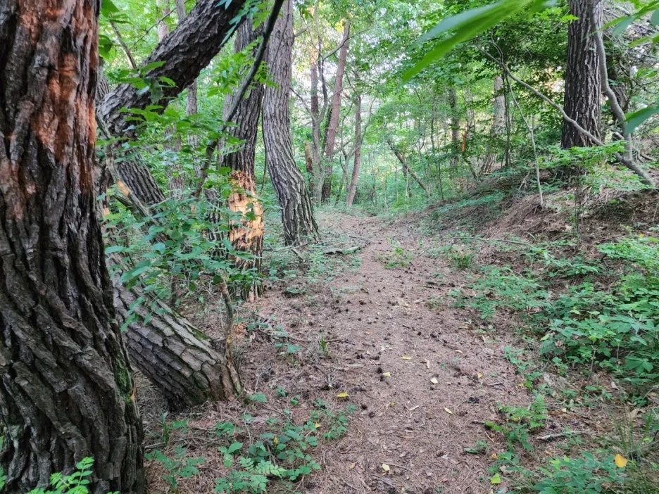 KakaoTalk_20240603_201229636_08.jpg?type=w1