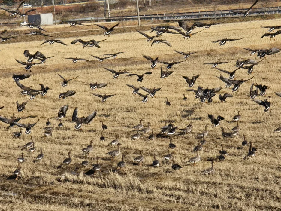 KakaoTalk_20241205_053804802_22.jpg?type=w1