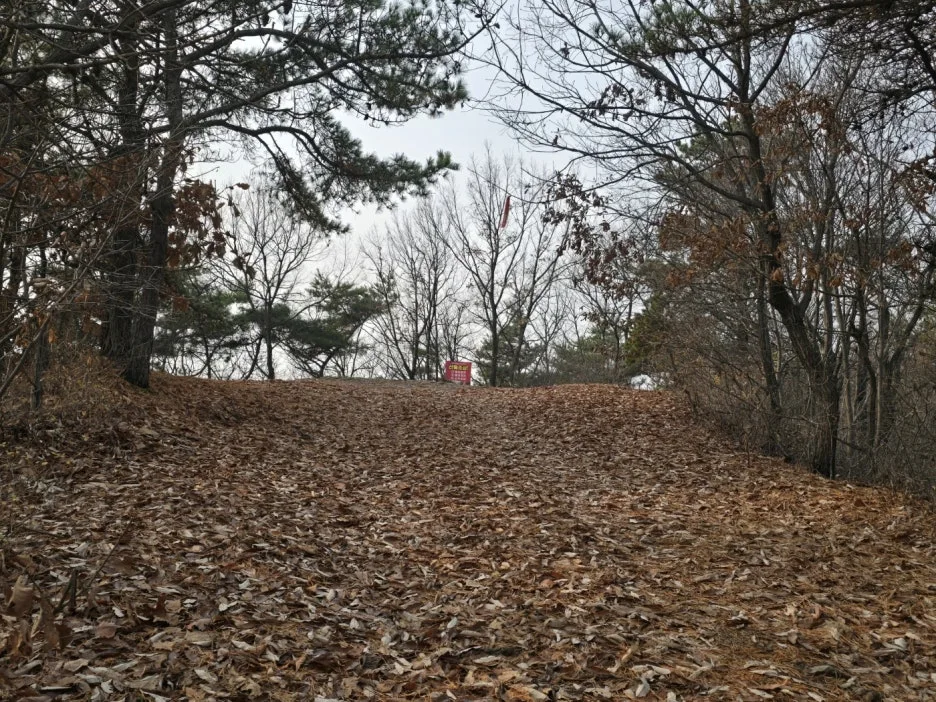 KakaoTalk_20241203_014924310_16.jpg?type=w1