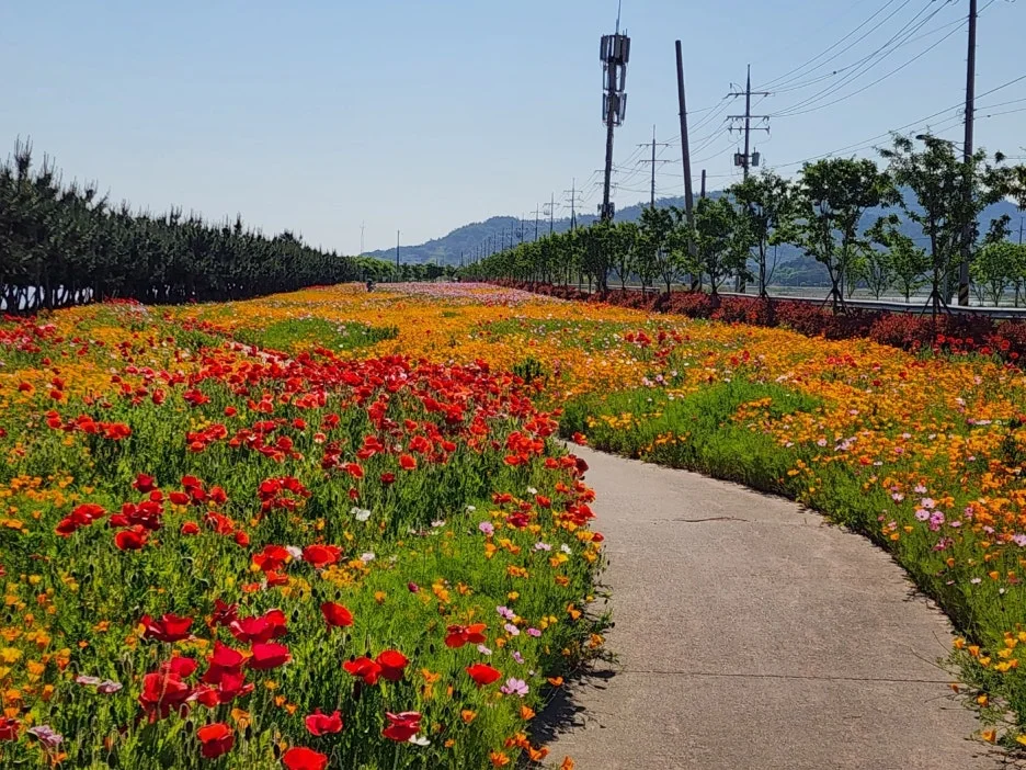 KakaoTalk_20240517_001534096_08.jpg?type=w1