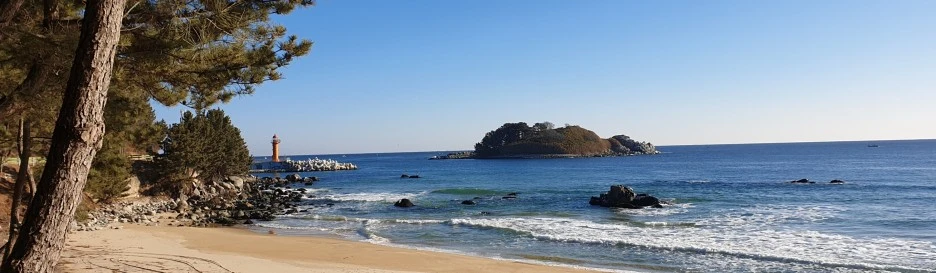 SE-8dcf2f33-beb0-4fb2-91d5-83ca0c97bba8.jpg?type=w1