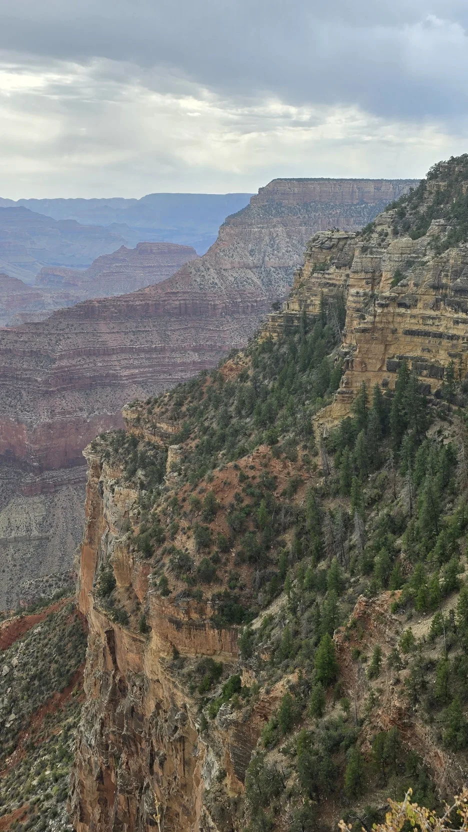 KakaoTalk_20250818_071704373_03.jpg?type=w1