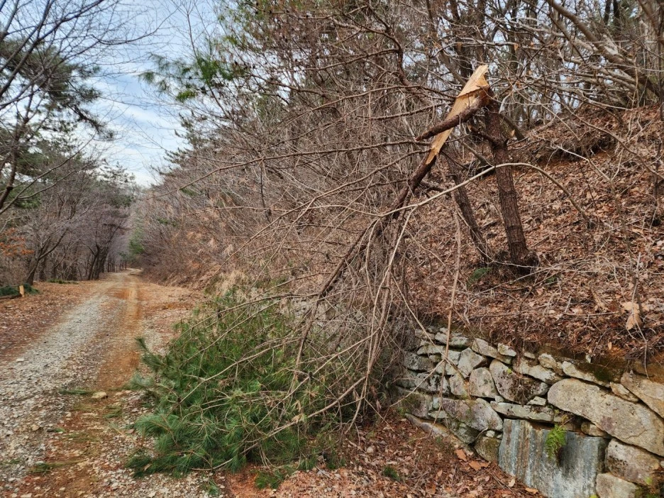 KakaoTalk_20230218_065358503_03.jpg?type=w1