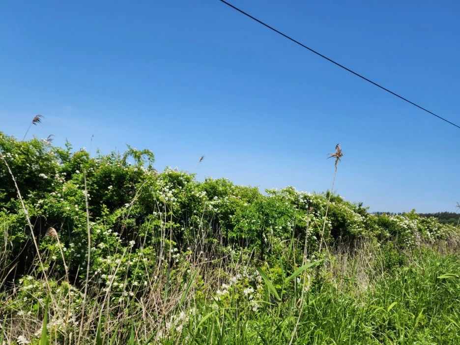 KakaoTalk_20240511_041926496_16.jpg?type=w1