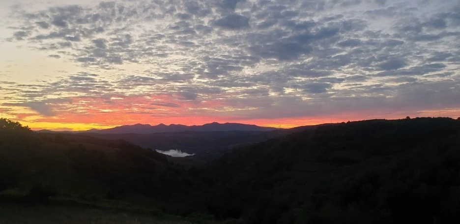 KakaoTalk_20220610_223039863.jpg?type=w1