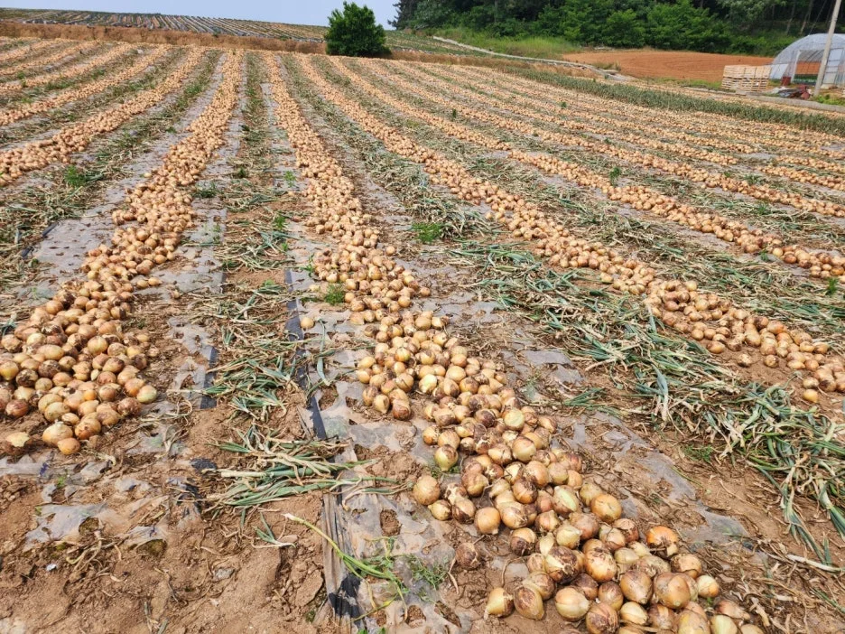 KakaoTalk_20240522_154457657_23.jpg?type=w1