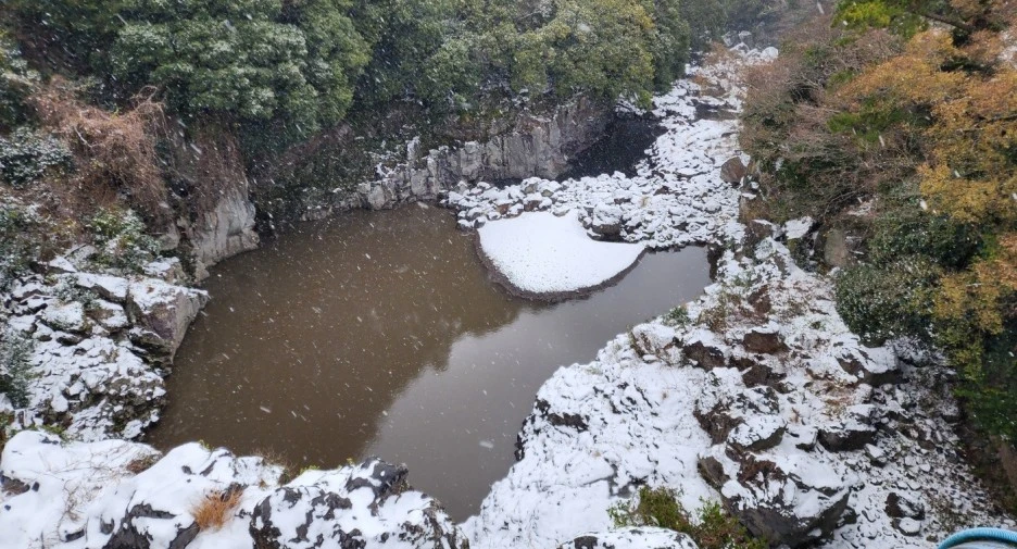 SE-0a69a497-aa49-4a48-a614-cd6604fc8558.jpg?type=w1