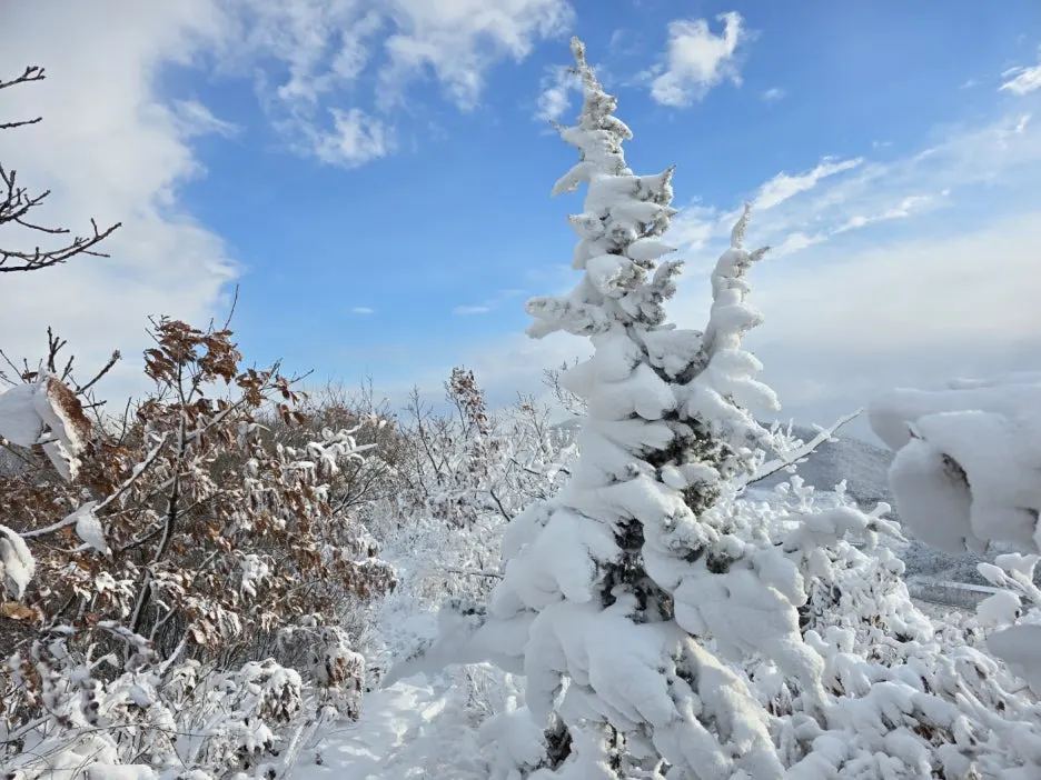 KakaoTalk_20241129_050938052_12.jpg?type=w1