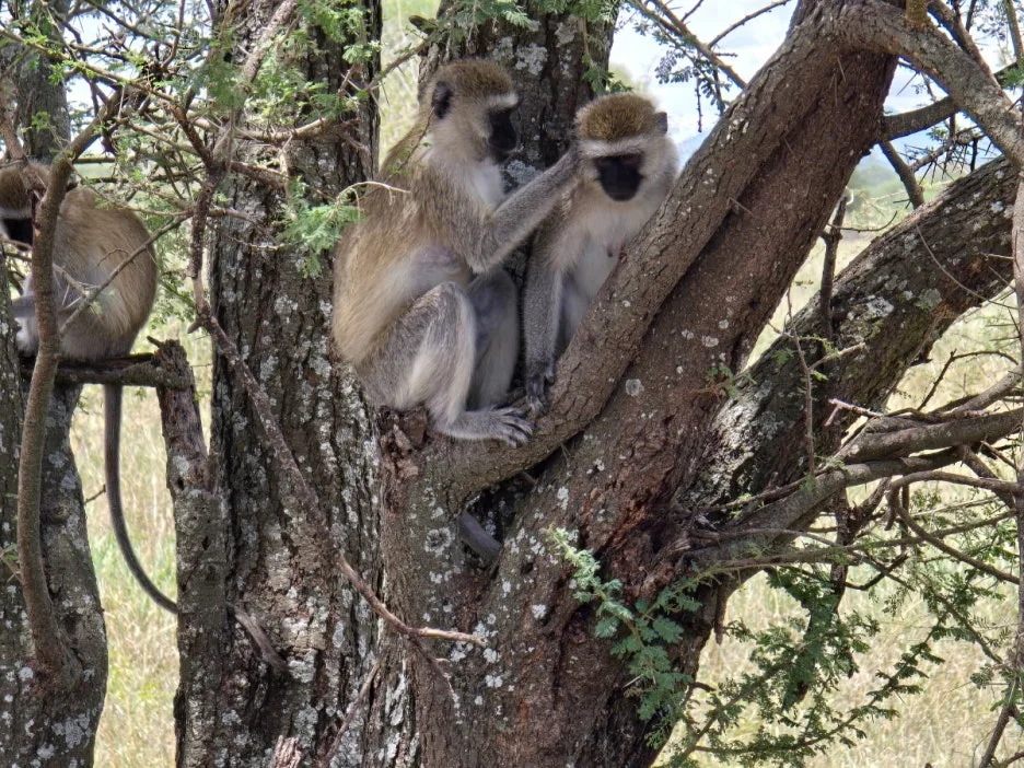 KakaoTalk_20250405_112215504_16.jpg?type=w1