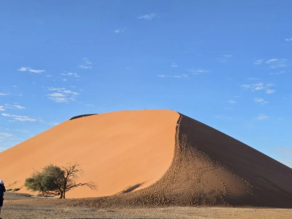 KakaoTalk_20250405_224233993_25.jpg?type=w1