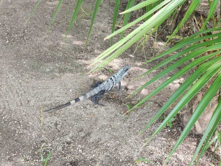 KakaoTalk_20240823_045131792_05.jpg?type=w1