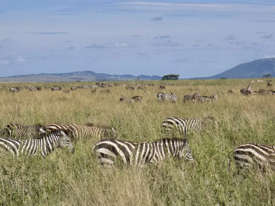 KakaoTalk_20250405_135250372_18.jpg?type=w1