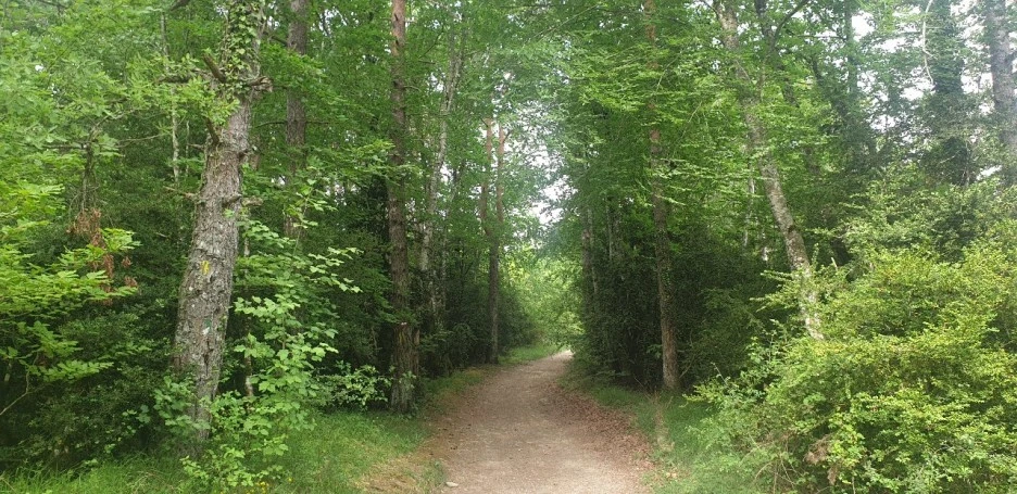 KakaoTalk_20220521_082850404_03.jpg?type=w1