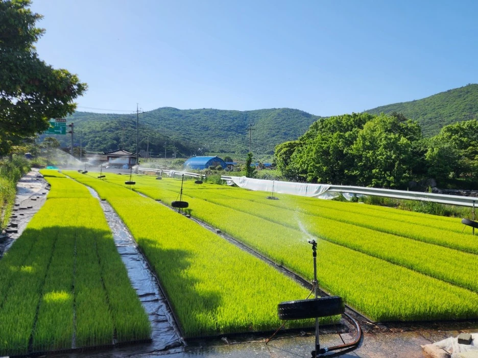 KakaoTalk_20240515_001430344_09.jpg?type=w1