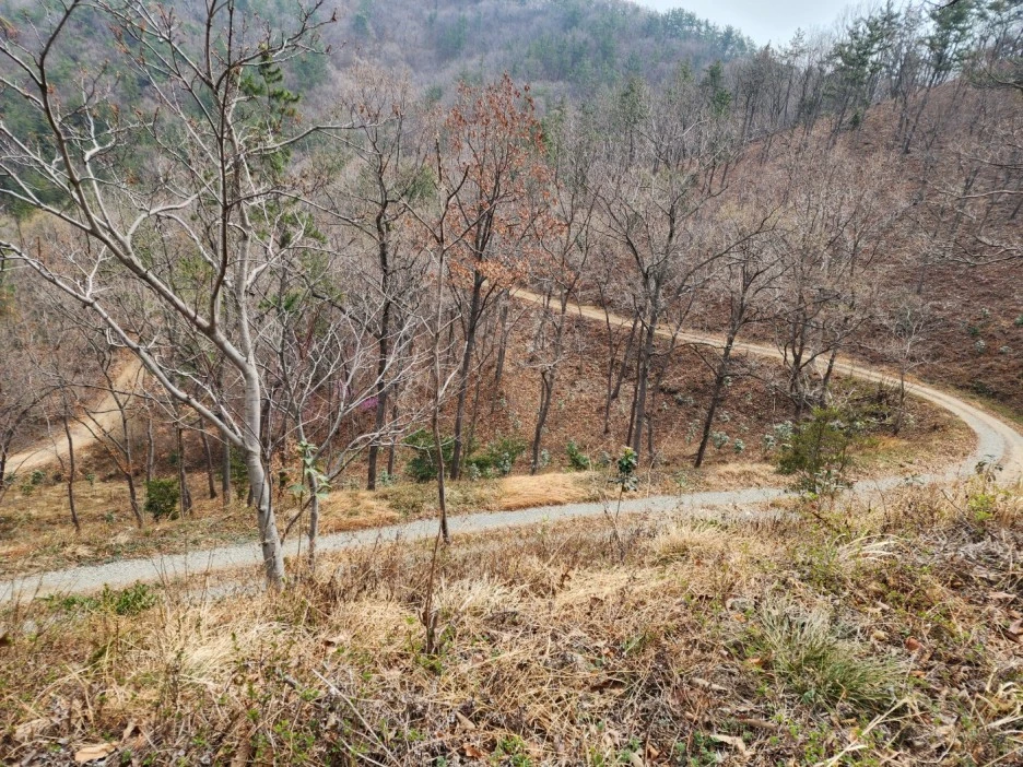 KakaoTalk_20230321_044106683_16.jpg?type=w1