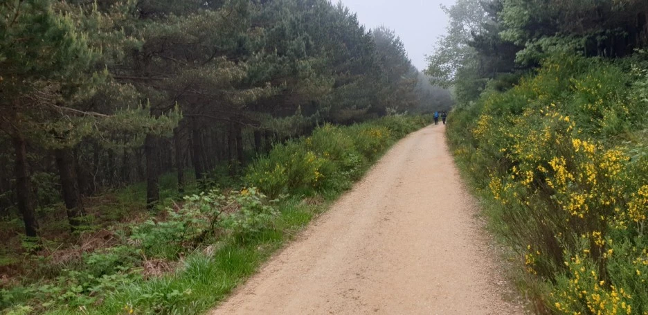 KakaoTalk_20220528_212419019_03.jpg?type=w1