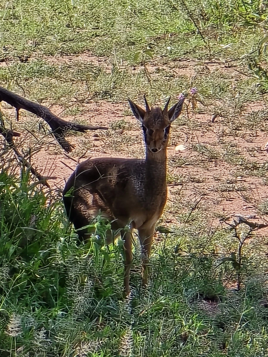 KakaoTalk_20250405_135250372_12.jpg?type=w1