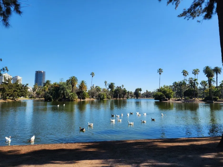 KakaoTalk_20240814_085315055_21.jpg?type=w1