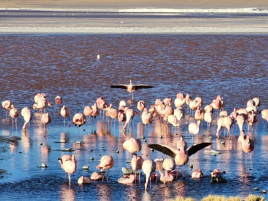 KakaoTalk_20240720_170505447_28.jpg?type=w1