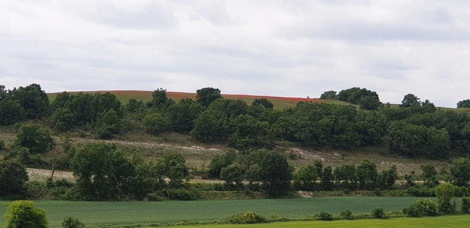 KakaoTalk_20220530_231948130_02.jpg?type=w1