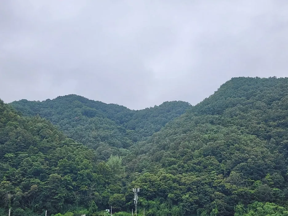 KakaoTalk_20250125_073232578_01.jpg?type=w1