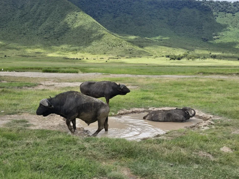 KakaoTalk_20250405_153815245_05.jpg?type=w1