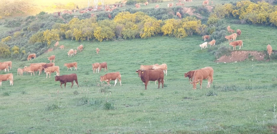 KakaoTalk_20220608_014336516_03.jpg?type=w1