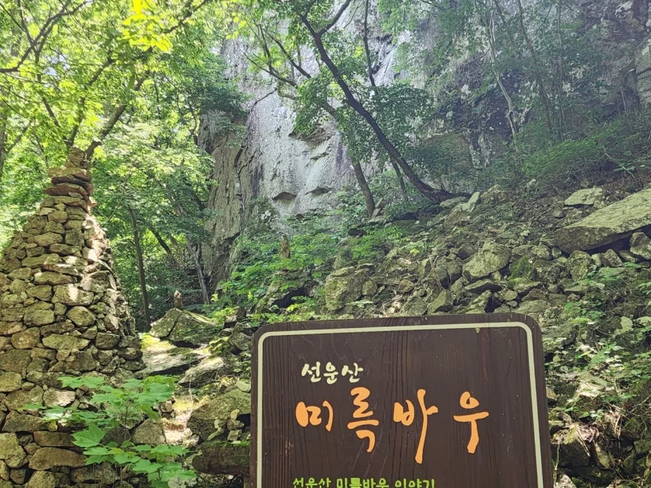 KakaoTalk_20240602_164520524_25.jpg?type=w1