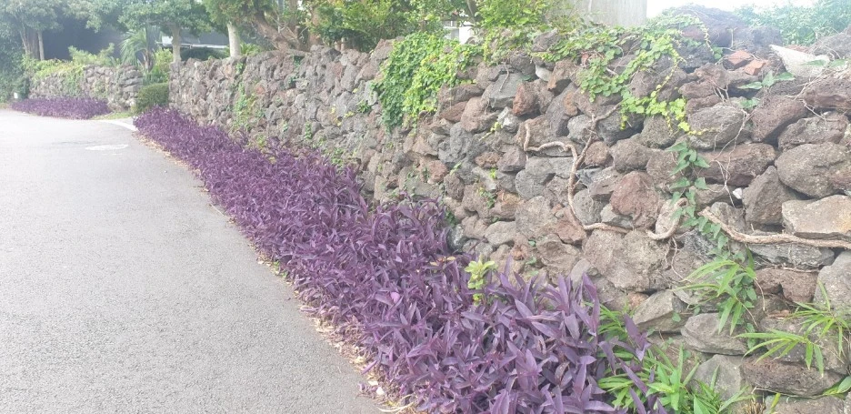 KakaoTalk_20220828_044122015_05.jpg?type=w1