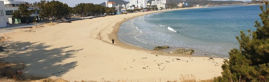 SE-96c79613-e7e2-4d4a-8e33-411fc1a577bf.jpg?type=w1