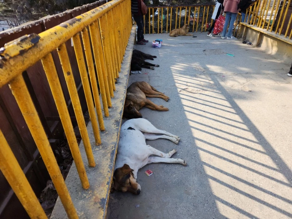 KakaoTalk_20221123_122408806_10.jpg?type=w1