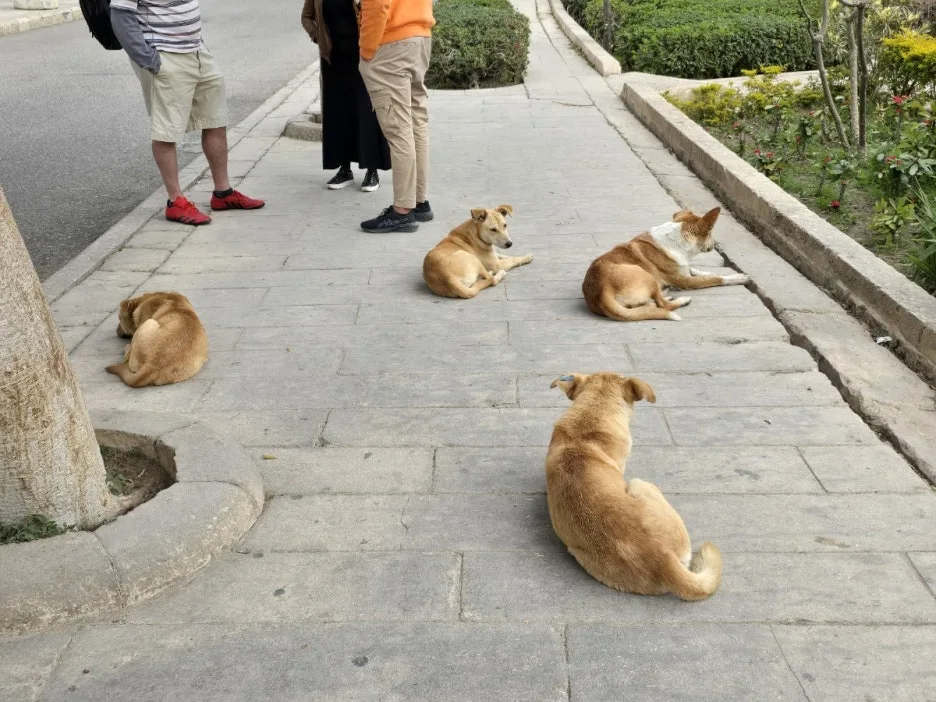 KakaoTalk_20250221_164144773_04.jpg?type=w1