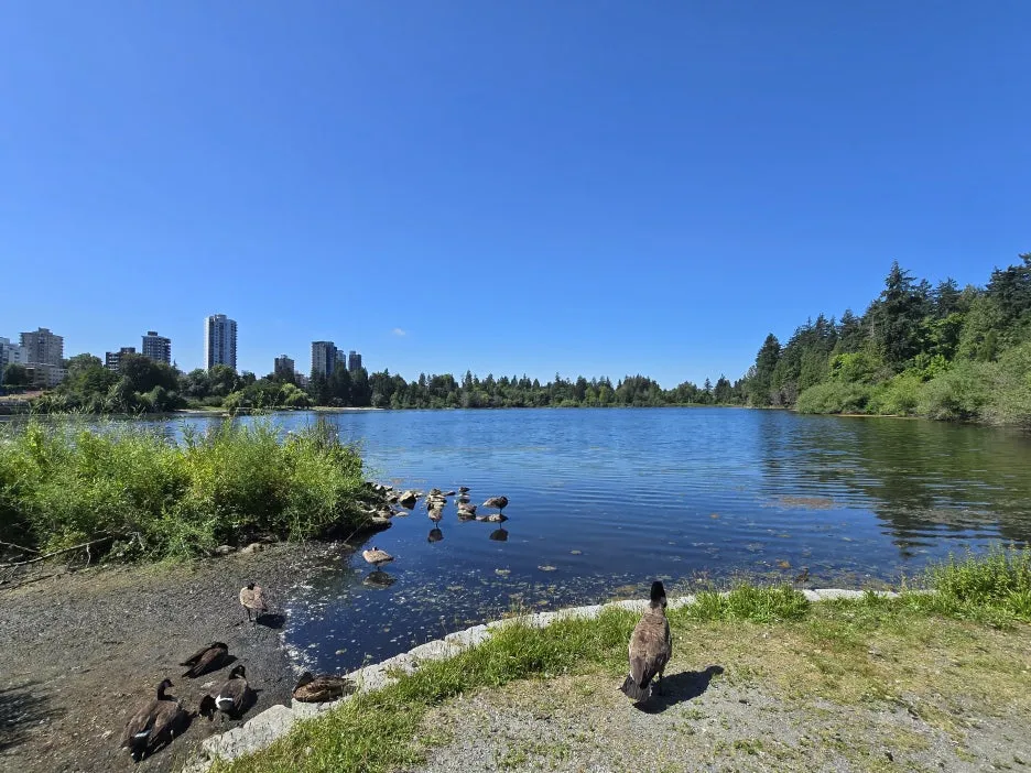 KakaoTalk_20250724_030728455_26.jpg?type=w1