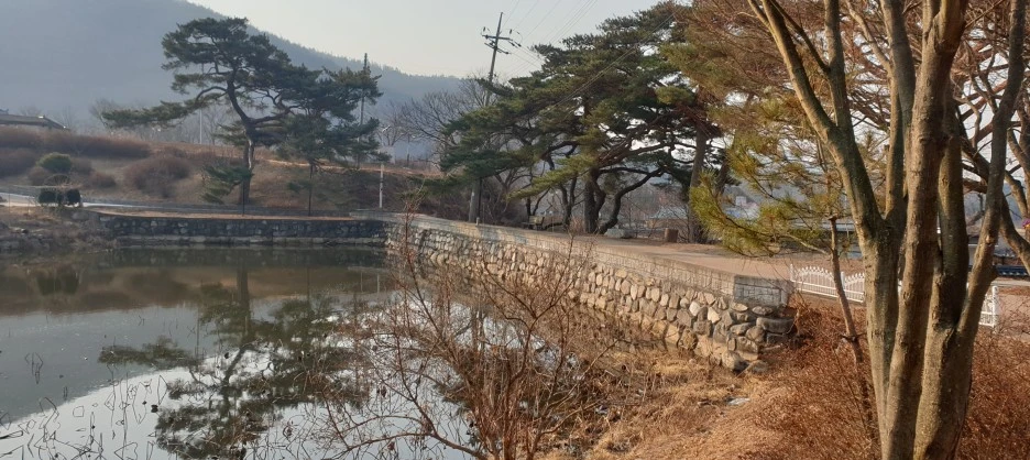 SE-b3d4677b-7790-4889-8614-f2d0782808f3.jpg?type=w1