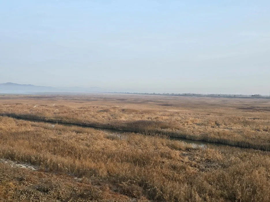 KakaoTalk_20241121_163313957_05.jpg?type=w1