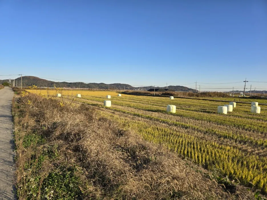 KakaoTalk_20241119_051244597_05.jpg?type=w1