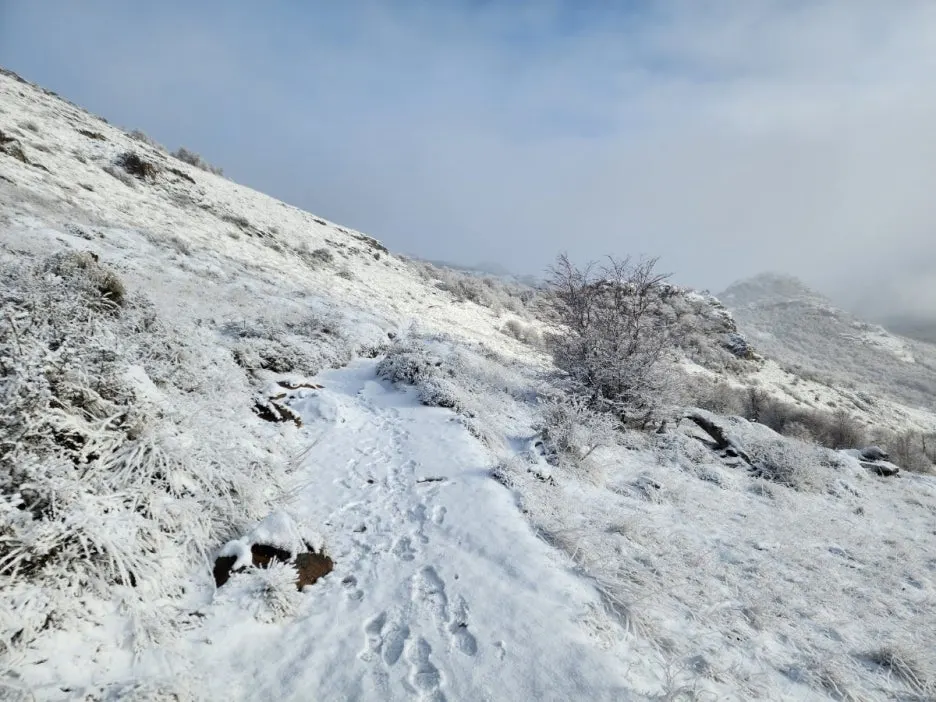 KakaoTalk_20240806_083145095_01.jpg?type=w1