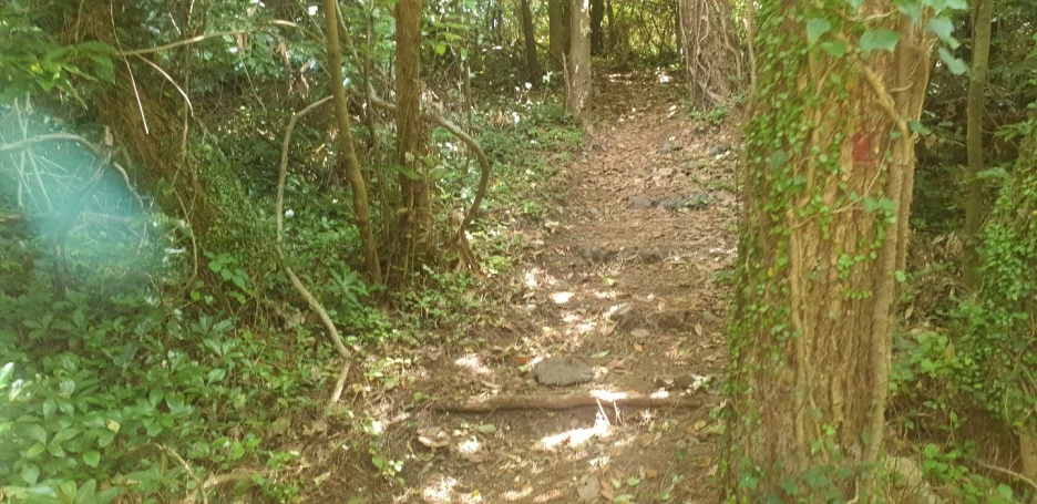 KakaoTalk_20220831_114810655_07.jpg?type=w1