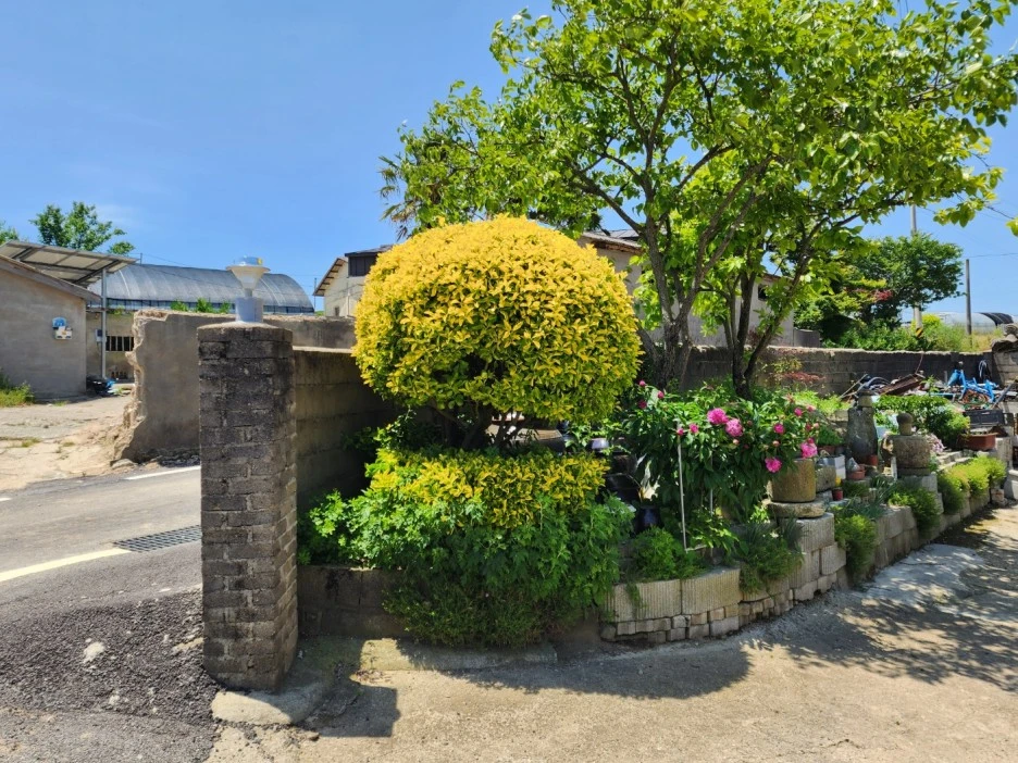 KakaoTalk_20240511_041926496_20.jpg?type=w1