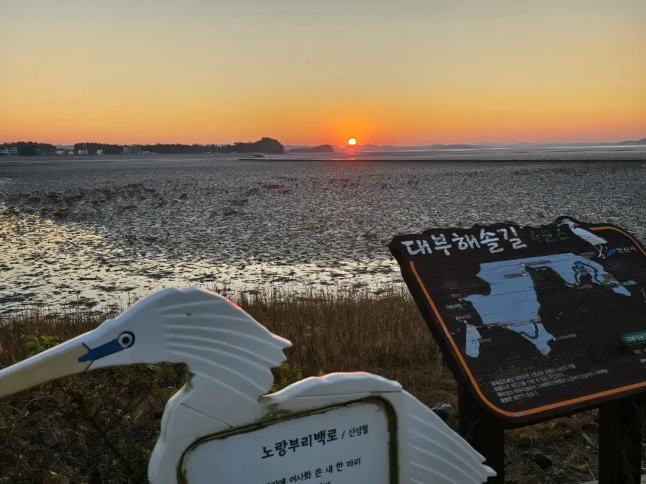 KakaoTalk_20241122_202414998.jpg?type=w1