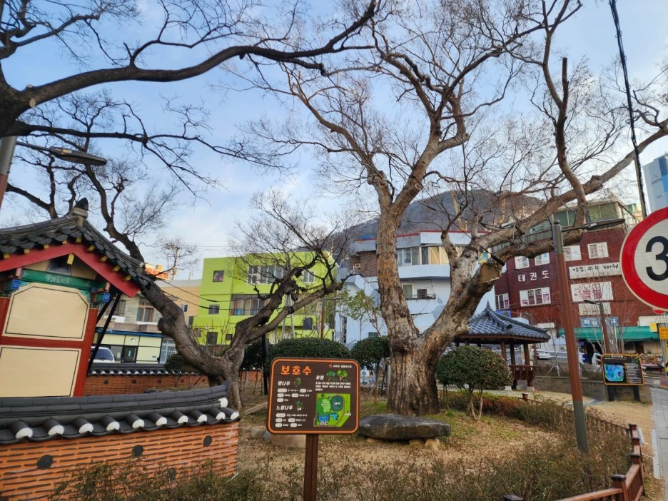 KakaoTalk_20230203_034236670.jpg?type=w1