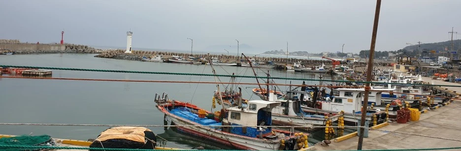 SE-e0d637f7-6ec4-4411-b8c3-2ce4b401c8c4.jpg?type=w1