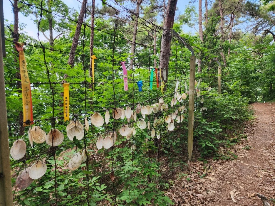 KakaoTalk_20240604_174216039_15.jpg?type=w1