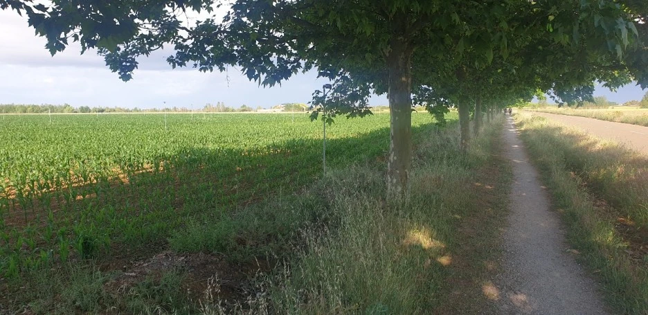 KakaoTalk_20220603_223034197_06.jpg?type=w1