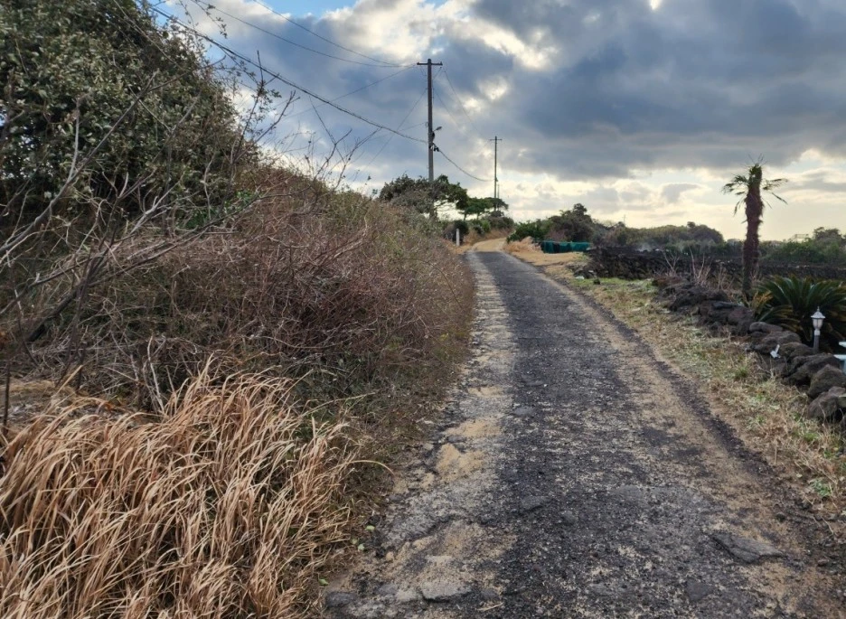 SE-6c578c34-526d-4863-a97d-3f2270f107c2.jpg?type=w1